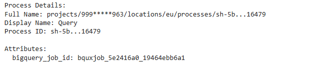 BigQuery process details showcasing query attributes and job ID