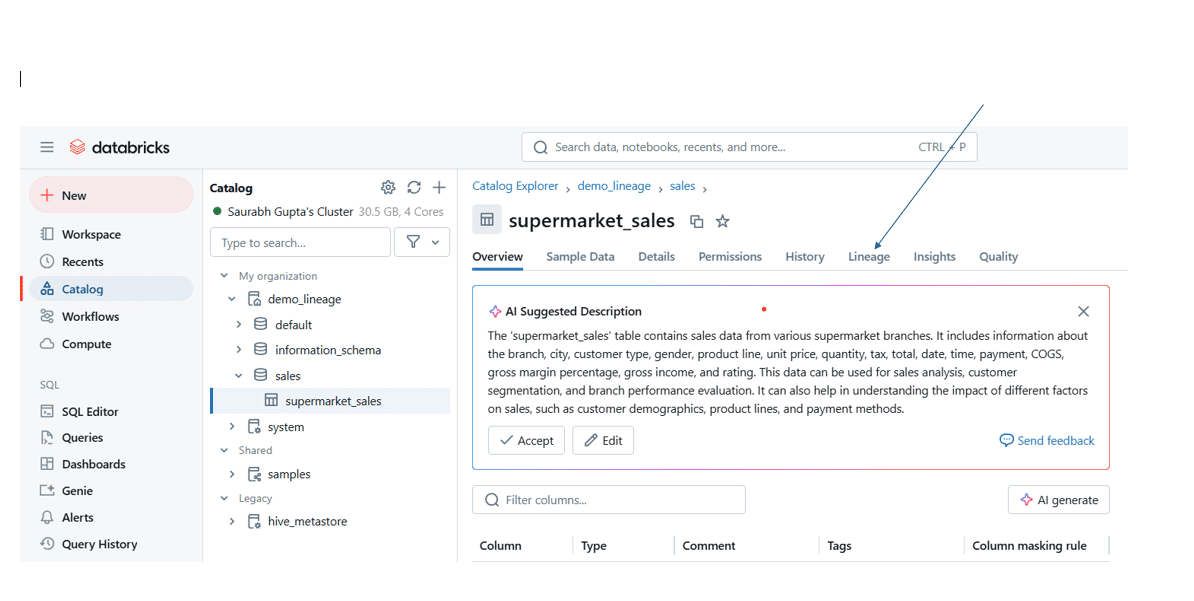 data catalog overview supermarket sales table and its features