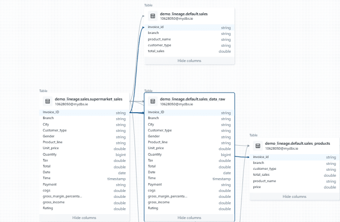 data lineage diagram showing sales database tables and relationships