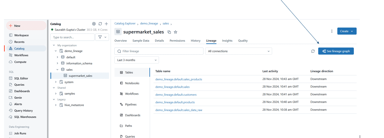 data lineage interface for supermarket sales catalog exploration