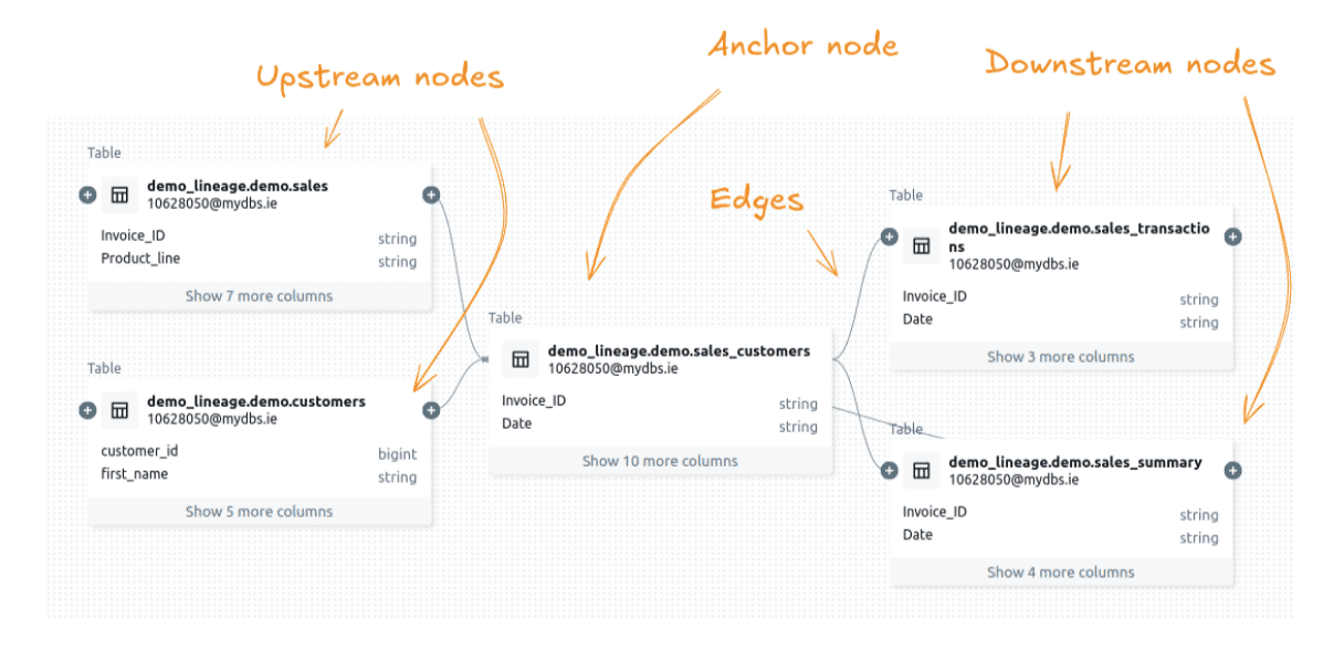 Data lineage visualisation Track upstream anchor and downstream nodes with edges