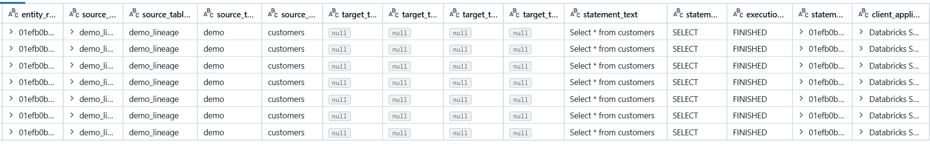 Database table view Inspect query results with detailed columns and execution statuses