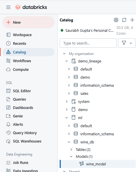 Databricks catalog interface displaying personal organization structure