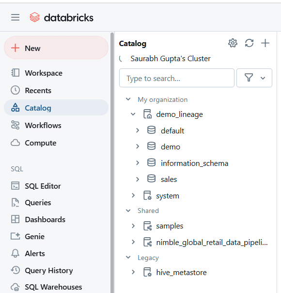 Databricks catalog interface showing Saurabh Guptas cluster organization files