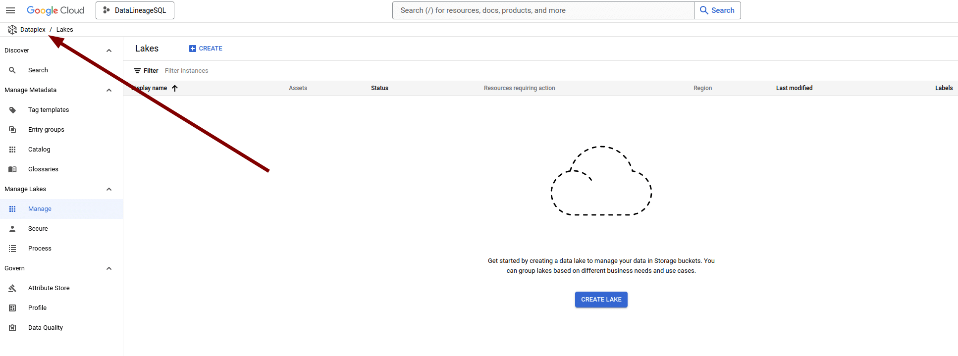 Google Cloud Dataplex interface for managing data lakes efficiently