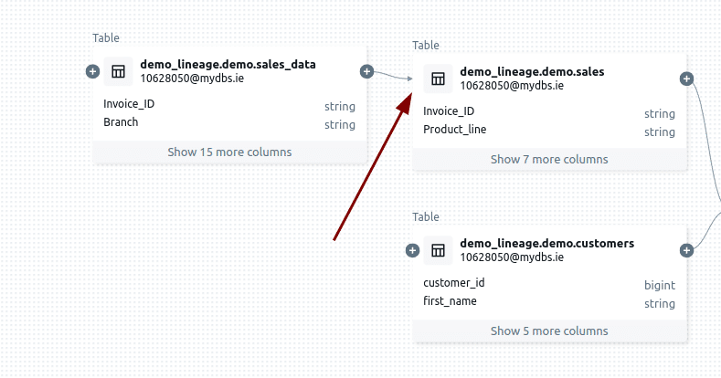 Lineage view Trace data flow between interconnected tables with column details