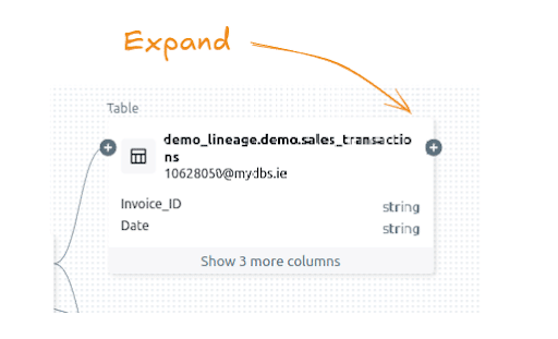 Node expansion view: Visualise table details with column types and expandable options