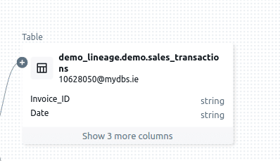 Table node view Displays table details with column names types and expandable options