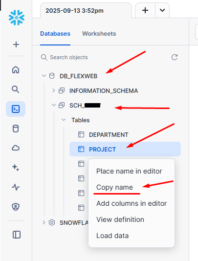 Database navigation interface highlighting project table options.