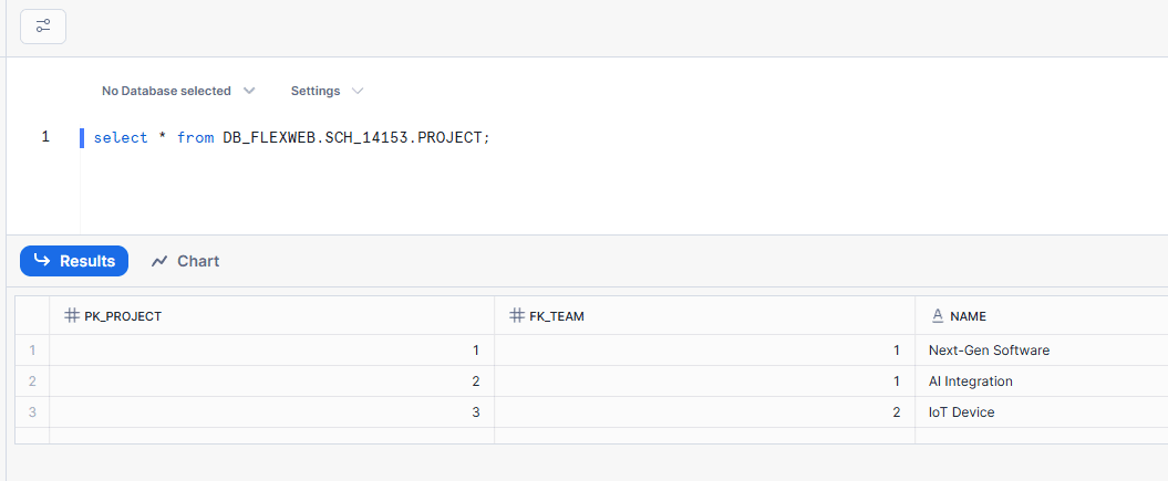 Database project management interface displaying query results dashboard