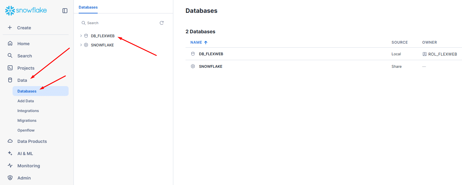 Snowflake database management interface showcasing data organization tools