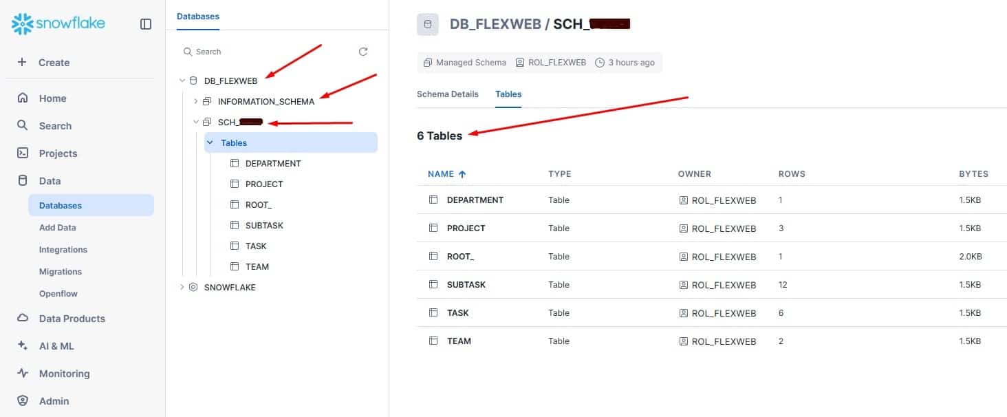 Snowflake database schema overview with visible table details for analysis
