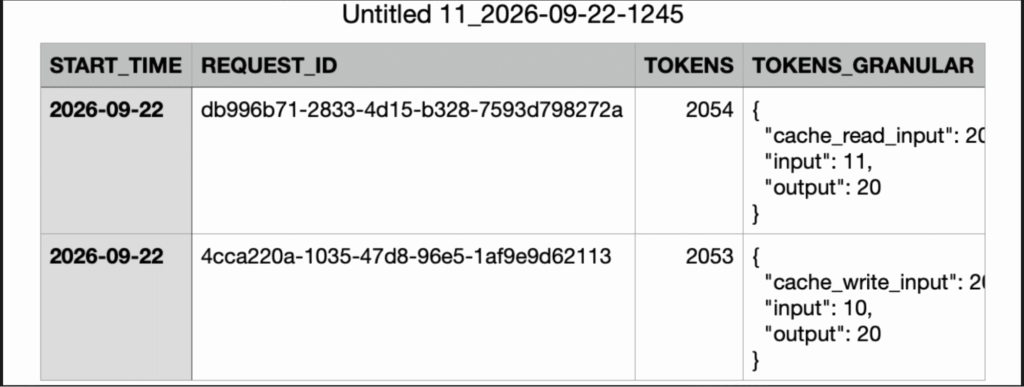 Database log table displaying request IDs, total token counts, and JSON breakdown of granular cache read and write tokens.